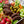 Laden Sie das Bild in den Galerie-Viewer, Vegane Frikadellen im Sommerpaket